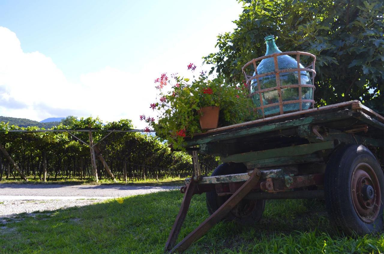 Ca Ulivi Bed & Breakfast Ala Exterior photo